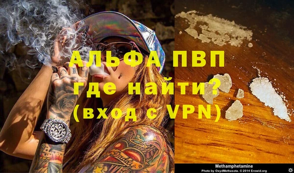 спиды Майский