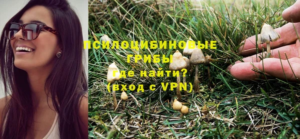 дмт Магас