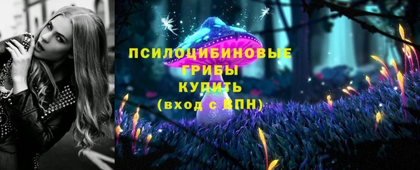 спиды Майский