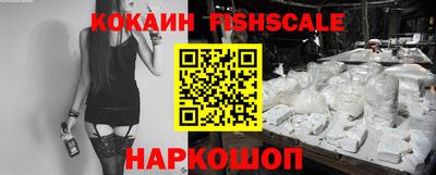 крисы Гатчина