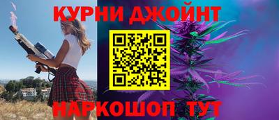 крисы Гатчина
