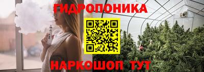 крисы Гатчина