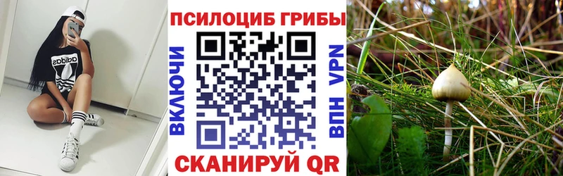 Псилоцибиновые грибы GOLDEN TEACHER  omg зеркало  Шумерля 