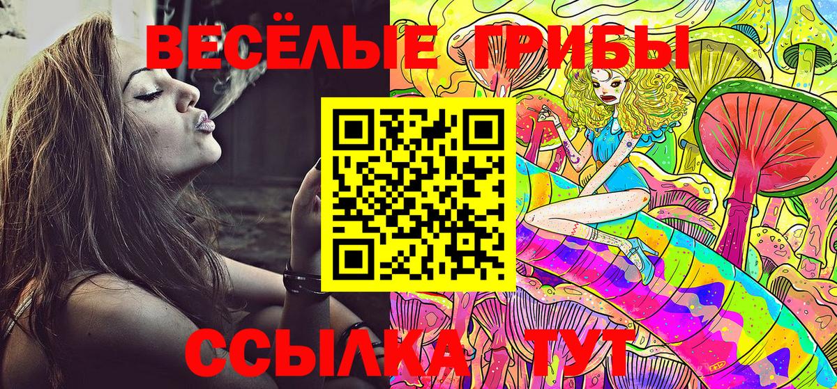 Псилоцибиновые грибы GOLDEN TEACHER Шумерля